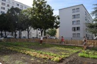 À Lyon, deux lauréats du dispositif "Quartiers Fertiles" porté par l'ANRU